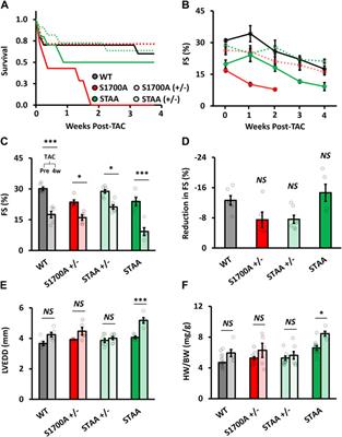 Impairment of β-adrenergic regulation and exacerbation of pressure-induced heart failure in mice with mutations in phosphoregulatory sites in the cardiac CaV1.2 calcium channel